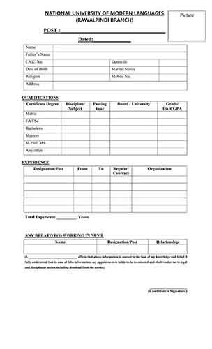 Lecturer (Software Engineering / IT)