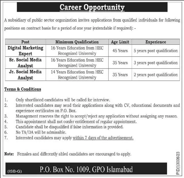 Digital Marketing Expert