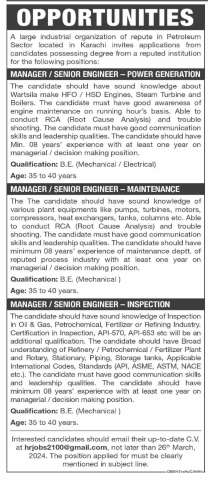 MANAGER / SENIOR ENGINEER - POWER GENERATION