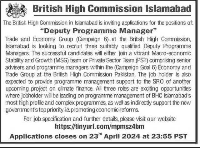Deputy Programme Manager