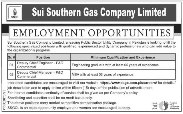 Deputy Chief Manager - P&D Commercial