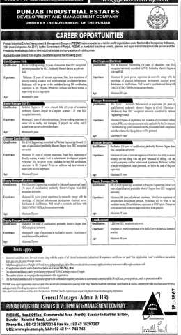 Deputy Manager Electrical