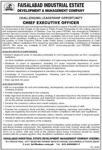 Chief Executive Officer (CEO)