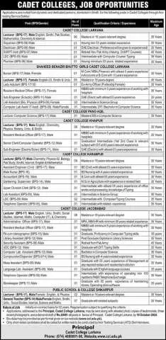 Lecturer Sindhi (BPS-17)