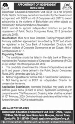 Independent Director