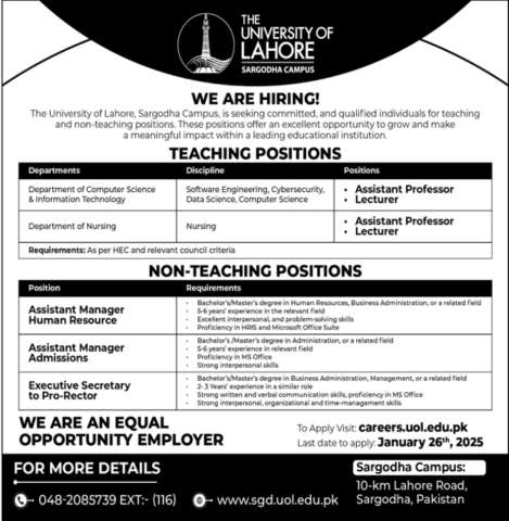 Lecturer - Software Engineer