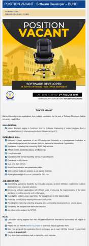 Software Developer