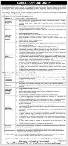 Collection Manager (AVP / VP)